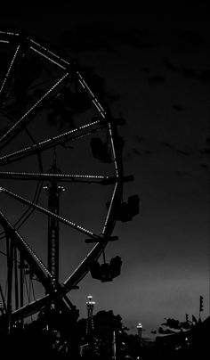 the ferris wheel is lit up in black and white at night with city lights behind it