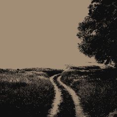 a black and white photo of a dirt road in the middle of a grassy field