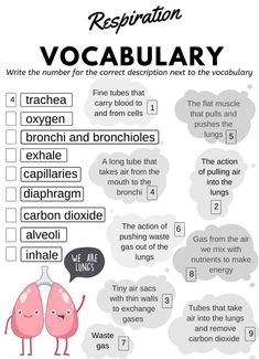 a poster with words and pictures on it that describe the different types of organ organs