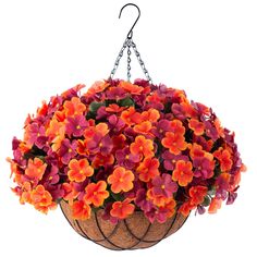 a hanging basket filled with orange and pink flowers