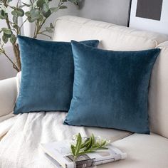 two blue pillows sitting on top of a white couch next to a potted plant