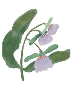 a painting of flowers with green leaves on a white background