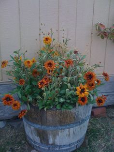 an old barrel with flowers growing out of it