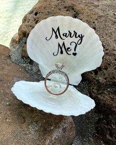 a shell with a ring on it sitting on some rocks