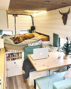 a dog laying on top of a bed in the back of a truck with a desk