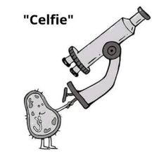 a cartoon character looking into a microscope with the caption cellfie on it