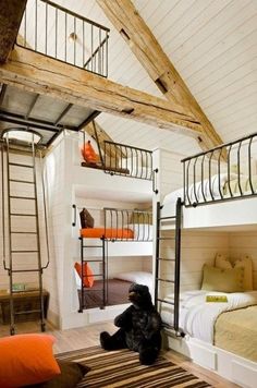 there are bunk beds in this room with ladders on the ceiling and a dog sitting on the floor