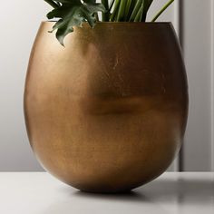 a plant in a gold vase on a table