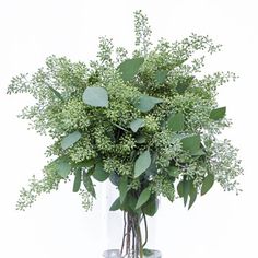 a vase filled with lots of green leaves