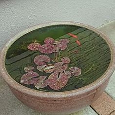 a potted plant with pink flowers floating in it's water on the ground