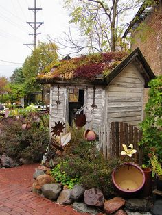 an outhouse with plants growing on the roof