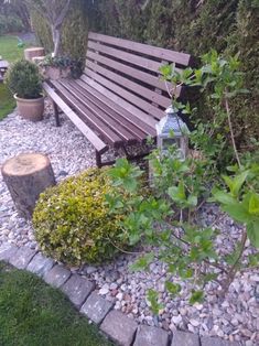 a wooden bench sitting in the middle of a garden next to a tree stump and potted plants