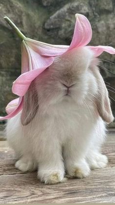 a rabbit with a pink flower on its head