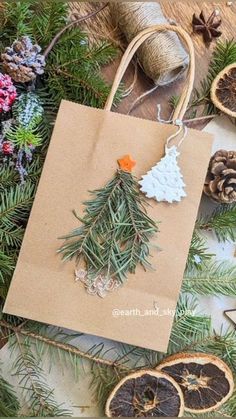 an ornament is hanging from a bag next to some dried fruit and pine cones