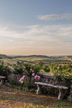 two stone benches sitting next to each other in front of a lush green field with pink flowers