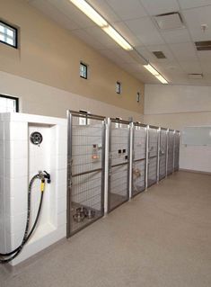 a row of stalls in a building with doors open and water hoses attached to them