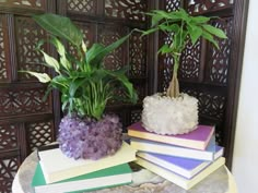 a table topped with books and a potted plant next to each other on top of it