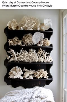 a black shelf with corals on it in front of a white wall and window