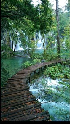 a wooden bridge over a stream in the woods