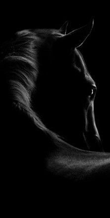 a black and white photo of a horse's face in the dark with its mouth open