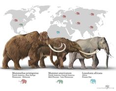 three wooly mammoths are shown in front of the world map with names on them