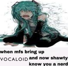 I Have No Friends, Silly Me, Hatsune Miku