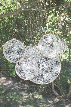 three plates hanging from a tree branch in the sun on a sunny day with green grass and trees behind them