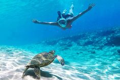 a woman swimming in the ocean next to a turtle