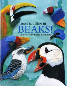 an illustrated book with birds on it and the words beaks written in different colors