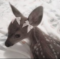 a baby deer with white bows on it's head sitting on a bed sheet