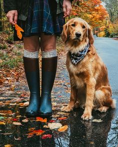 a person standing next to a dog on a wet road with leaves all over the ground