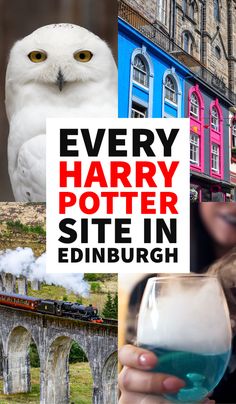 harry potter site in edinburgh with an owl holding a sign