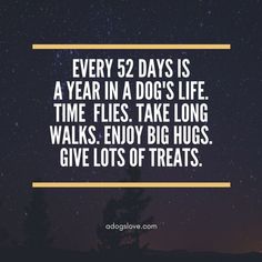 a quote that says every 52 days is a year in a dog's life time flies