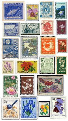 many different postage stamps with flowers and birds on them, all printed in different colors