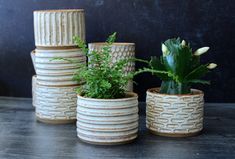 three ceramic pots with plants in them on a table