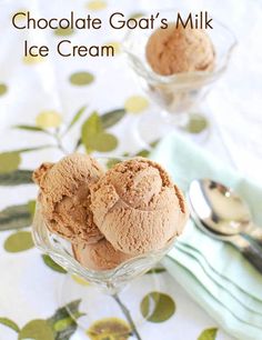 chocolate goat's milk ice cream in a glass bowl