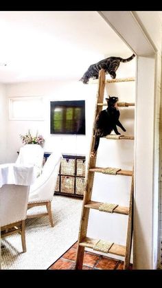 two cats sitting on top of a wooden ladder in a living room next to a table