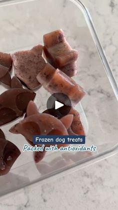 frozen dog treats in a plastic container on a marble counter top with the words frozen dog treats placed next to them