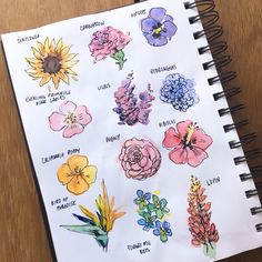 a notebook with flowers drawn on it and some watercolor pencils next to it