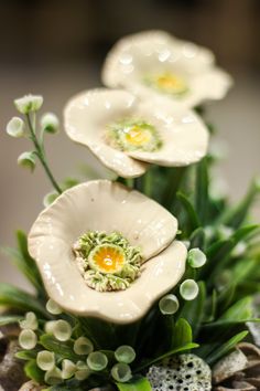 three white flowers with green leaves and water droplets on them are in a potted plant