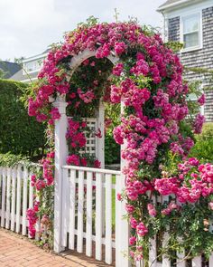 a white picket fence with pink flowers growing on it and an arbor in the background