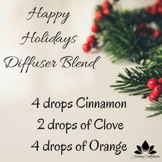 Essential Oil Christmas Blend, Essential Oil Candle Blends, Christmas Diffuser Blends, Smell Remover, Essential Oil Usage, Aura Spray, Doterra Diffuser, Essential Oil Beauty, Essential Oils Collection