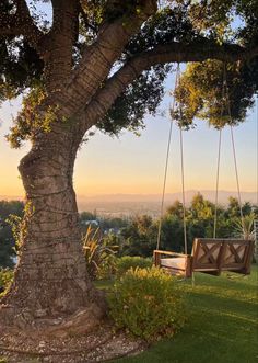 a wooden bench sitting under a tree next to a lush green field