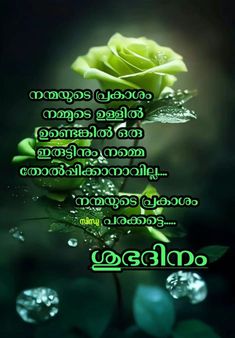 a green rose with water droplets on it and the words in thai are written below