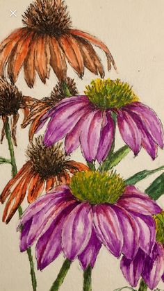 a drawing of three purple and orange flowers