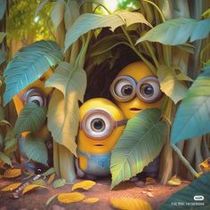 two minion characters peeking out from behind some trees in the jungle with leaves around them