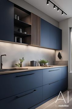 a kitchen with blue cabinets and wooden flooring is shown in this image, there are plants on the counter