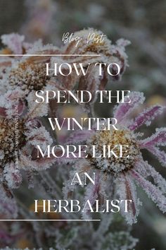 the words how to spend the winter more like an herbist