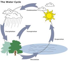 the water cycle is shown in this diagram, and shows how it's different stages