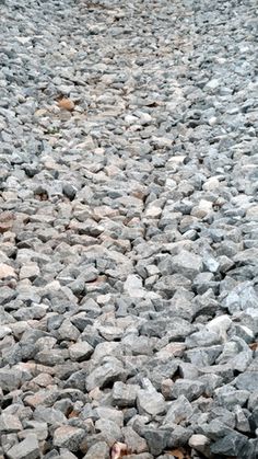 a black and white cat sitting on top of a pile of rocks